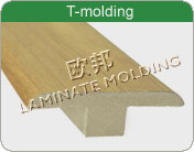 T-molding(with track)